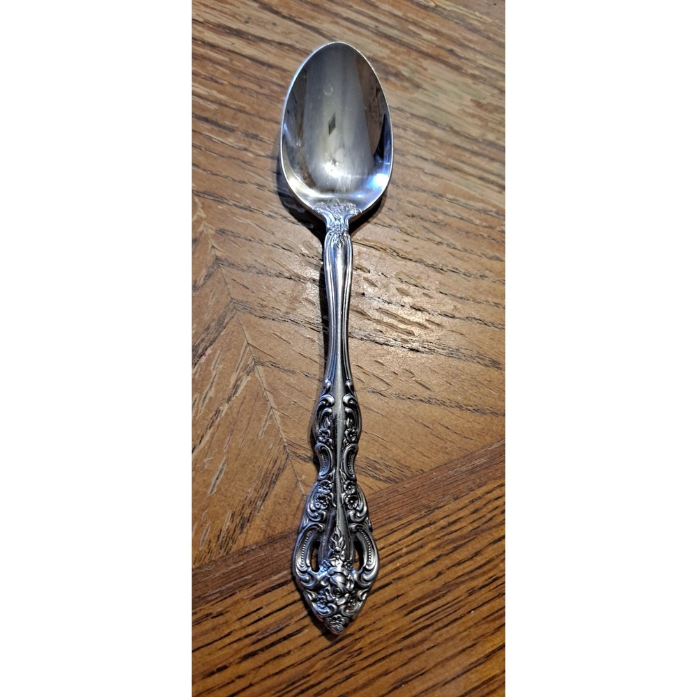 Stainless Steel Oneida Michaelangelo Spoon